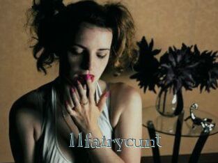 11fairycunt