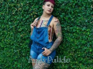 AndyPulido