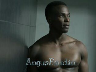 AngusBaudin