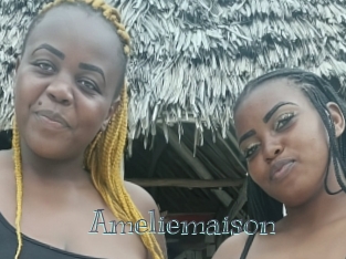 Ameliemaison