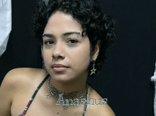 Anashus