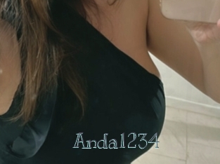 Anda1234