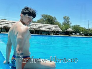 Andrewdibracco