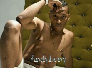 Andybony