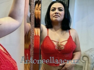 Antoneellaacruz