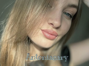 Antoniagary