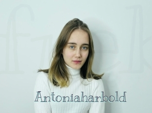 Antoniaharbold