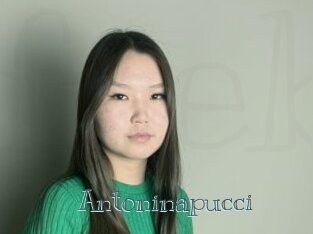 Antoninapucci