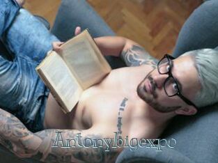 Antonybigexpo