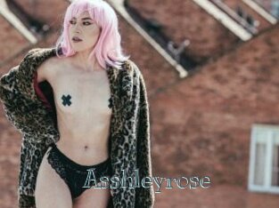 Asshleyrose