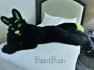 BaniBun