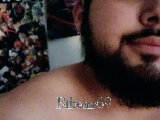 Bibear69