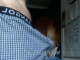 BigSurprise