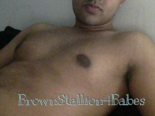 BrownStallion4Babes