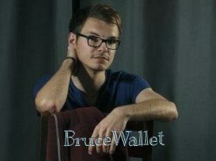 BruceWallet