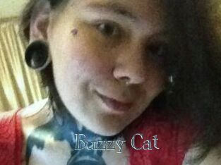 Buzzy_Cat