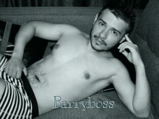Barryboss