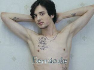 Bernicute