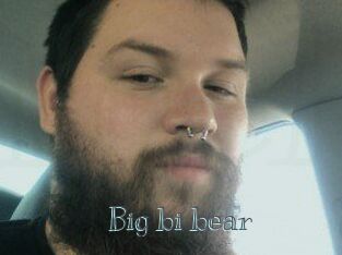 Big_bi_bear