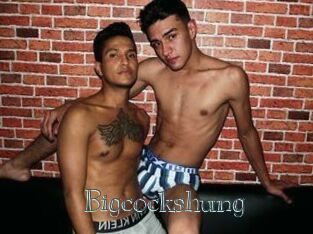 Bigcockshung