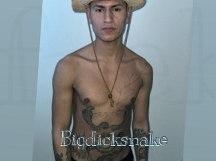 Bigdicksnake