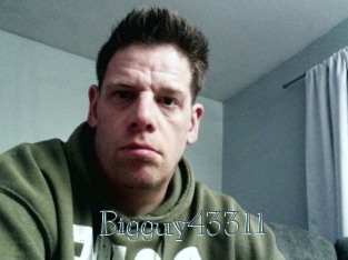 Bigguy43311