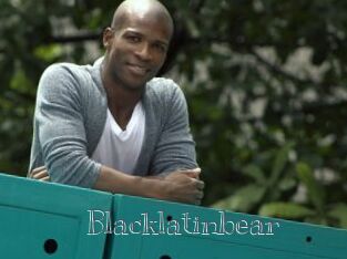 Blacklatinbear