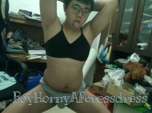 BoyHornyAFcrossdress