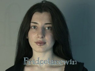 Bridgetangwin