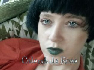 Calendula_Rose