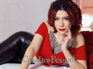 CandiceBonnet