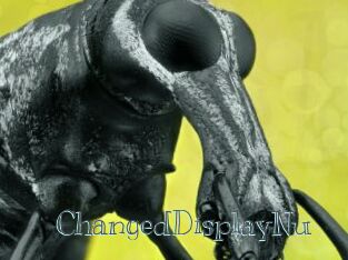 ChangedDisplayNu