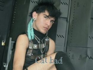 Cat_bad