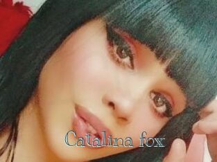 Catalina_fox