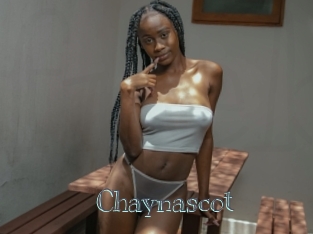 Chaynascot