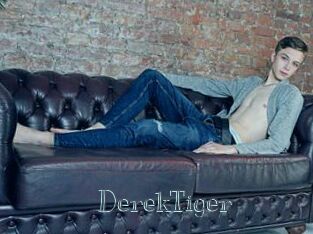 DerekTiger