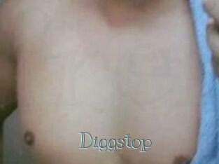 Diggstop