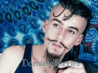 DominicTerrier