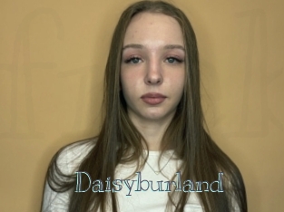 Daisyburland