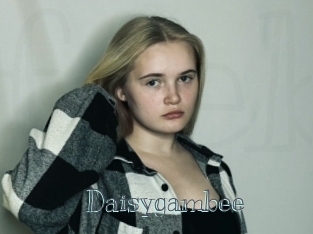 Daisygambee