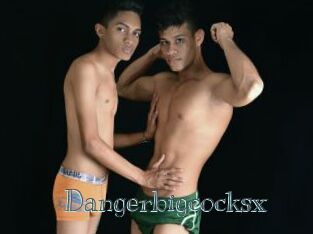 Dangerbigcocksx