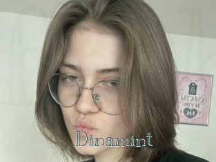 Dinamint