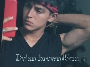 Dylan_brown15cm