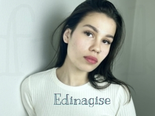 Edinagise