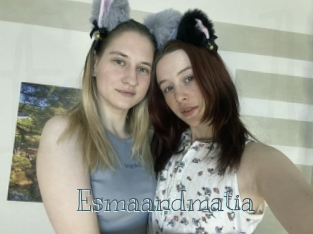 Esmaandmatia