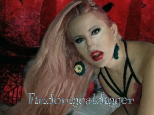 Findomgoaldigger