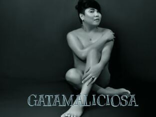 GATAMALICIOSA