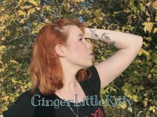 GingerLittleKitty