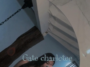 Gate_charlotee