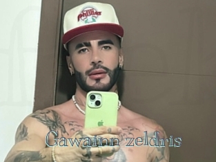 Gawainn_zeldris